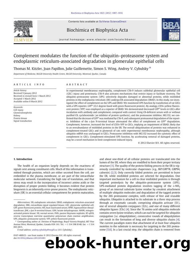 Complement modulates the function of the ubiquitinâproteasome system and endoplasmic reticulum-associated degradation in glomerular epithelial cells by Thomas M. Kitzler & Joan Papillon & Julie Guillemette & Simon S. Wing & Andrey V. Cybulsky