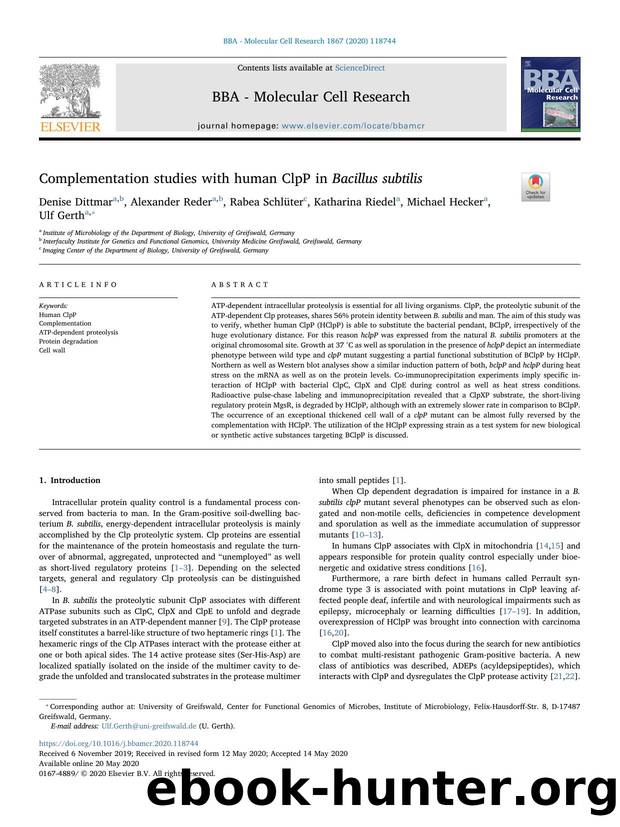 Complementation studies with human ClpP in Bacillus subtilis by Denise Dittmar & Alexander Reder & Rabea Schlüter & Katharina Riedel & Michael Hecker & Ulf Gerth
