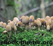 Complete Guide to Edible Wild Plants, Mushrooms, Fruits, and Nuts by Katie Letcher Lyle