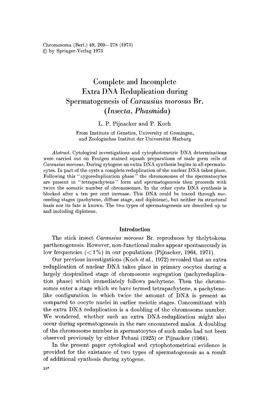 Complete and incomplete extra DNA reduplication during spermatogenesis of <Emphasis Type="Italic">Carausius morosus<Emphasis> Br. (<Emphasis Type="Italic">Insecta, Phasmida<Emphasis>) by Unknown