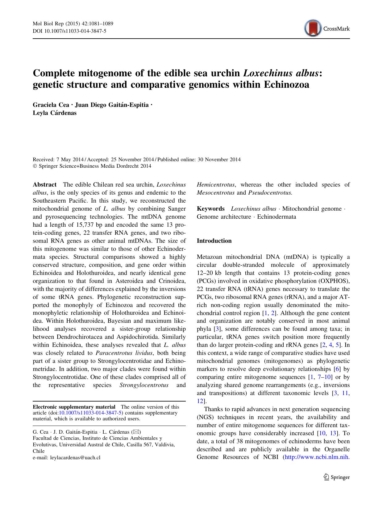 Complete mitogenome of the edible sea urchin Loxechinus albus: genetic structure and comparative genomics within Echinozoa by Graciela Cea & Juan Diego Gaitán-Espitia & Leyla Cárdenas
