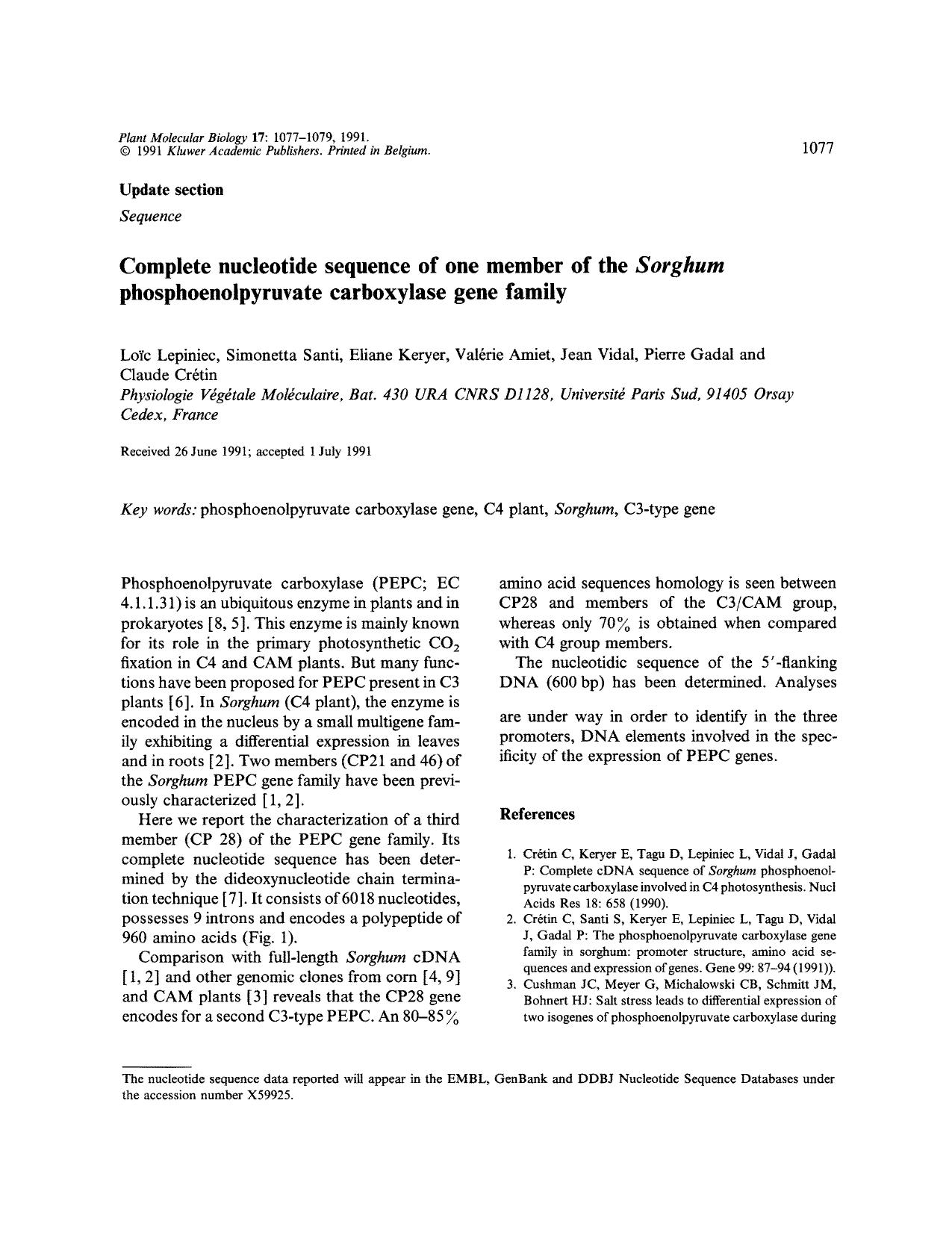 Complete nucleotide sequence of one member of the <Emphasis Type="Italic">Sorghum <Emphasis> phosphoenolpyruvate carboxylase gene family by Unknown