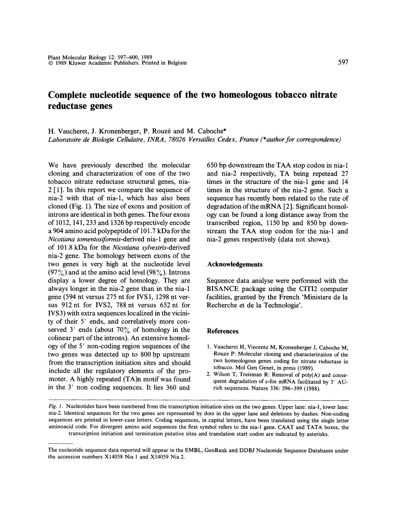 Complete nucleotide sequence of the two homeologous tobacco nitrate reductase genes by Unknown