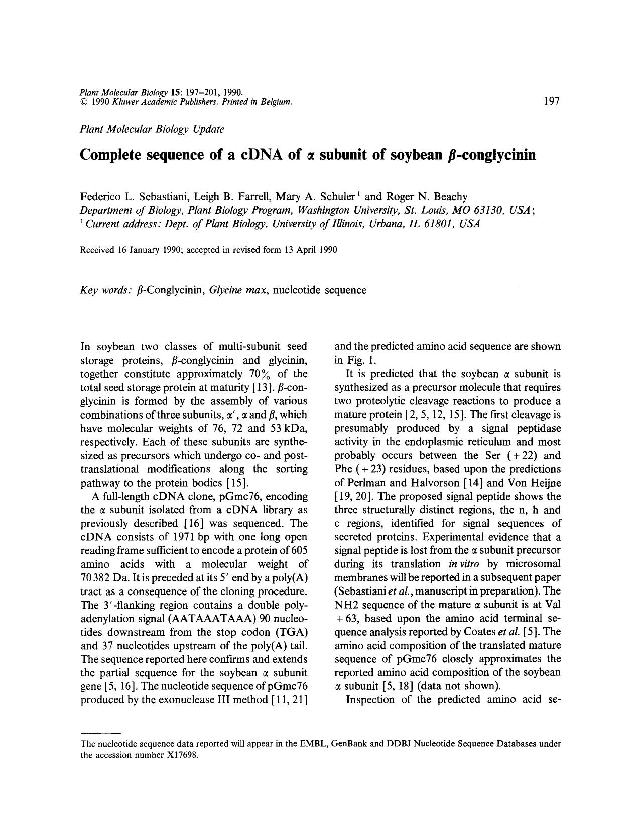 Complete sequence of a cDNA of α subunit of soybean β-conglycinin by Unknown