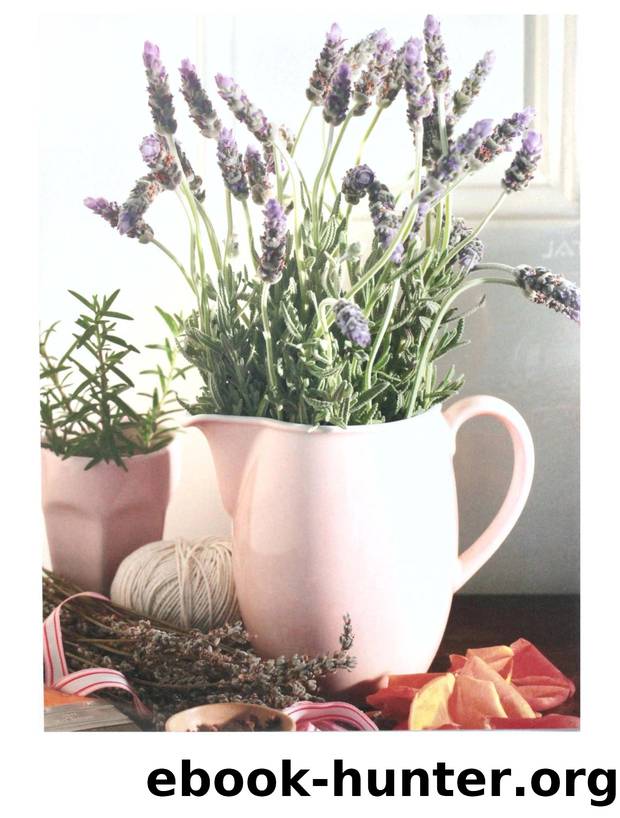 Complete-Illustrated-Herbal by Unknown