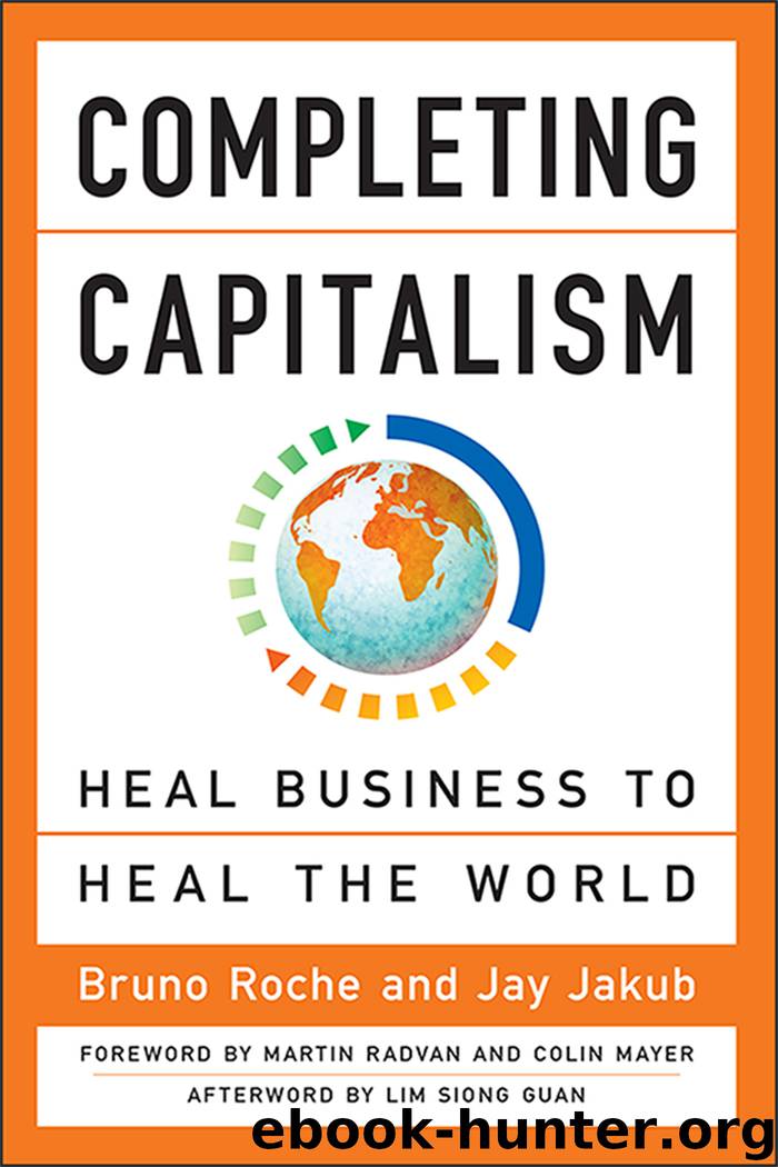Completing Capitalism by Bruno Roche