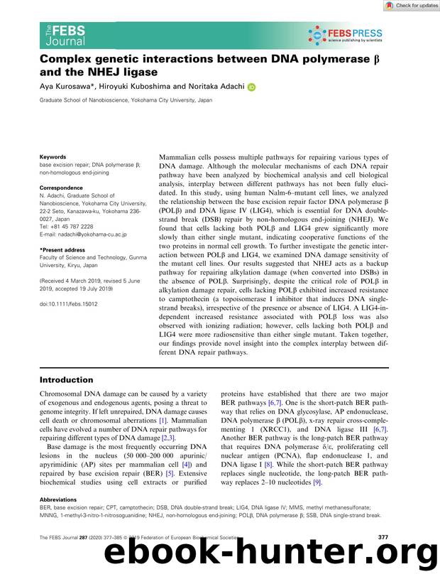 Complex genetic interactions between DNA polymerase Î² and the NHEJ ligase by Unknown