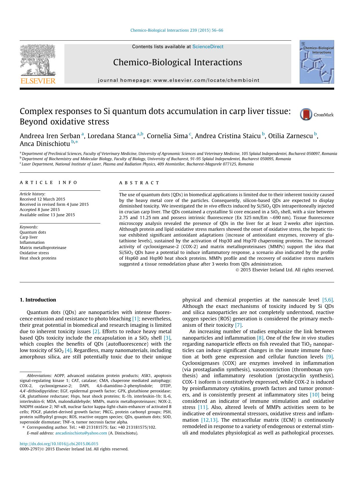 Complex responses to Si quantum dots accumulation in carp liver tissue: Beyond oxidative stress by unknow