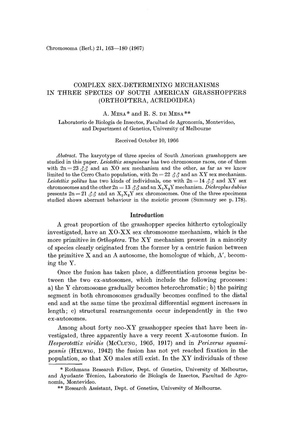 Complex sex-determining mechanisms in three species of South American grasshoppers (Orthoptera, Acridoidea) by Unknown