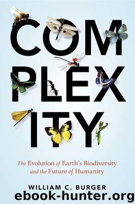 Complexity by William C. Burger