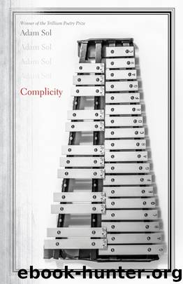 Complicity by Adam Sol