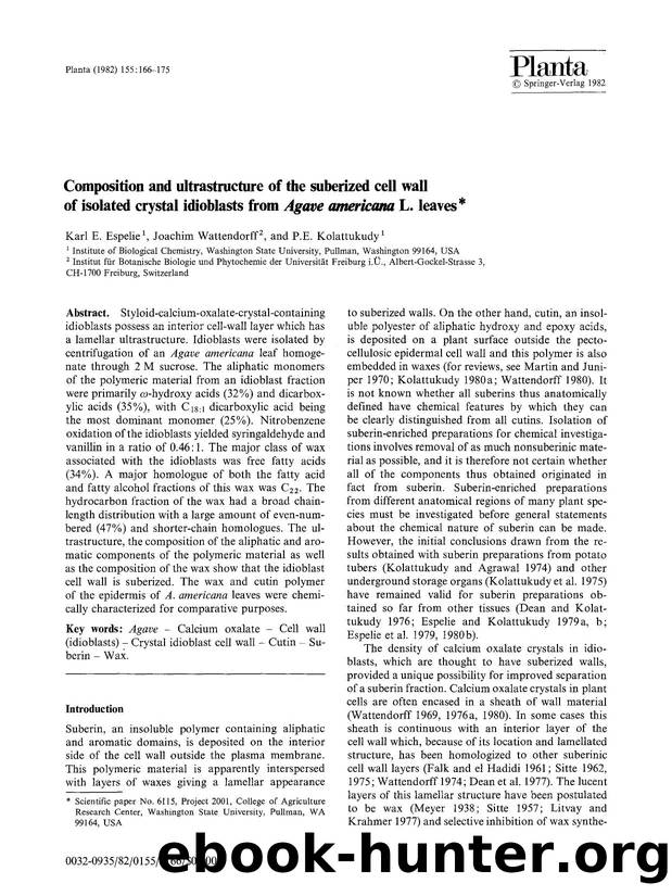 Composition and ultrastructure of the suberized cell wall of isolated crystal idioblasts from <Emphasis Type="Italic">Agave americana<Emphasis> L. leaves by Unknown