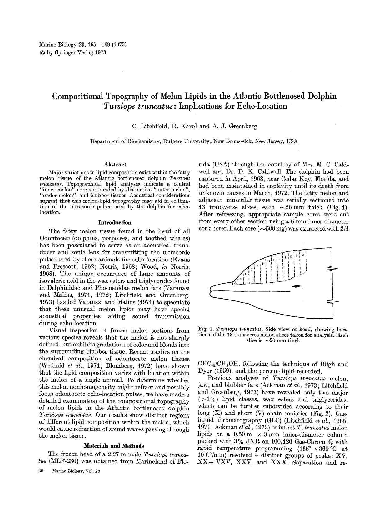 Compositional topography of melon lipids in the Atlantic bottlenosed dolphin <Emphasis Type="Italic">Tursiops truncatus<Emphasis>: Implications for echo-location by Unknown