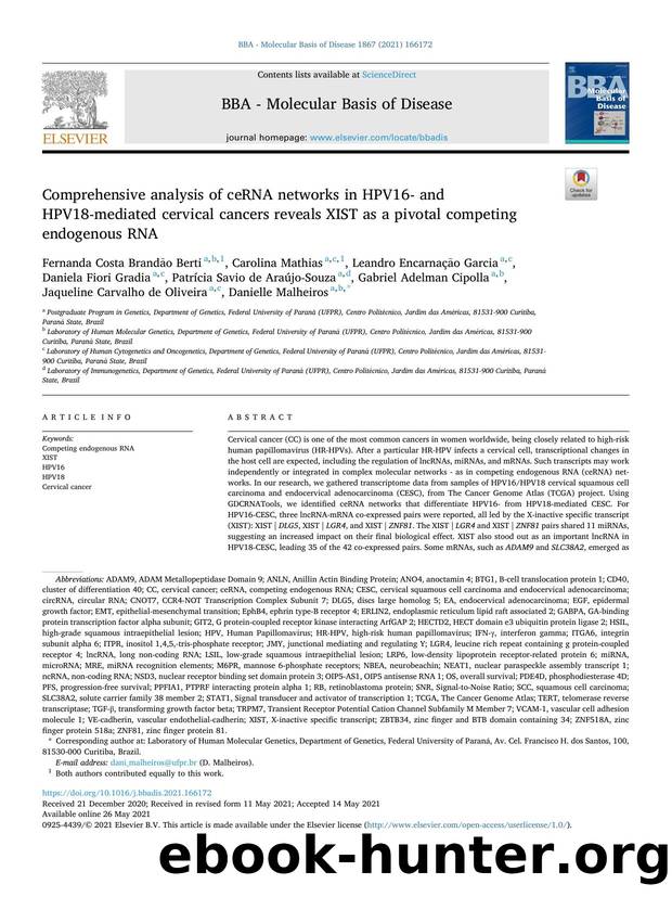 Comprehensive analysis of ceRNA networks in HPV16- and HPV18-mediated cervical cancers reveals XIST as a pivotal competing endogenous RNA by unknow