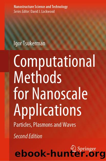 Computational Methods for Nanoscale Applications by Igor Tsukerman