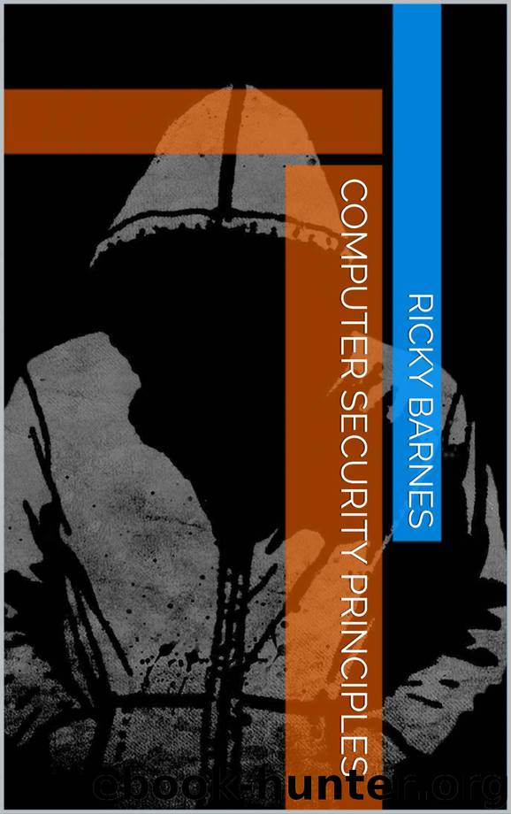 Computer Security Principles by Ricky Barnes
