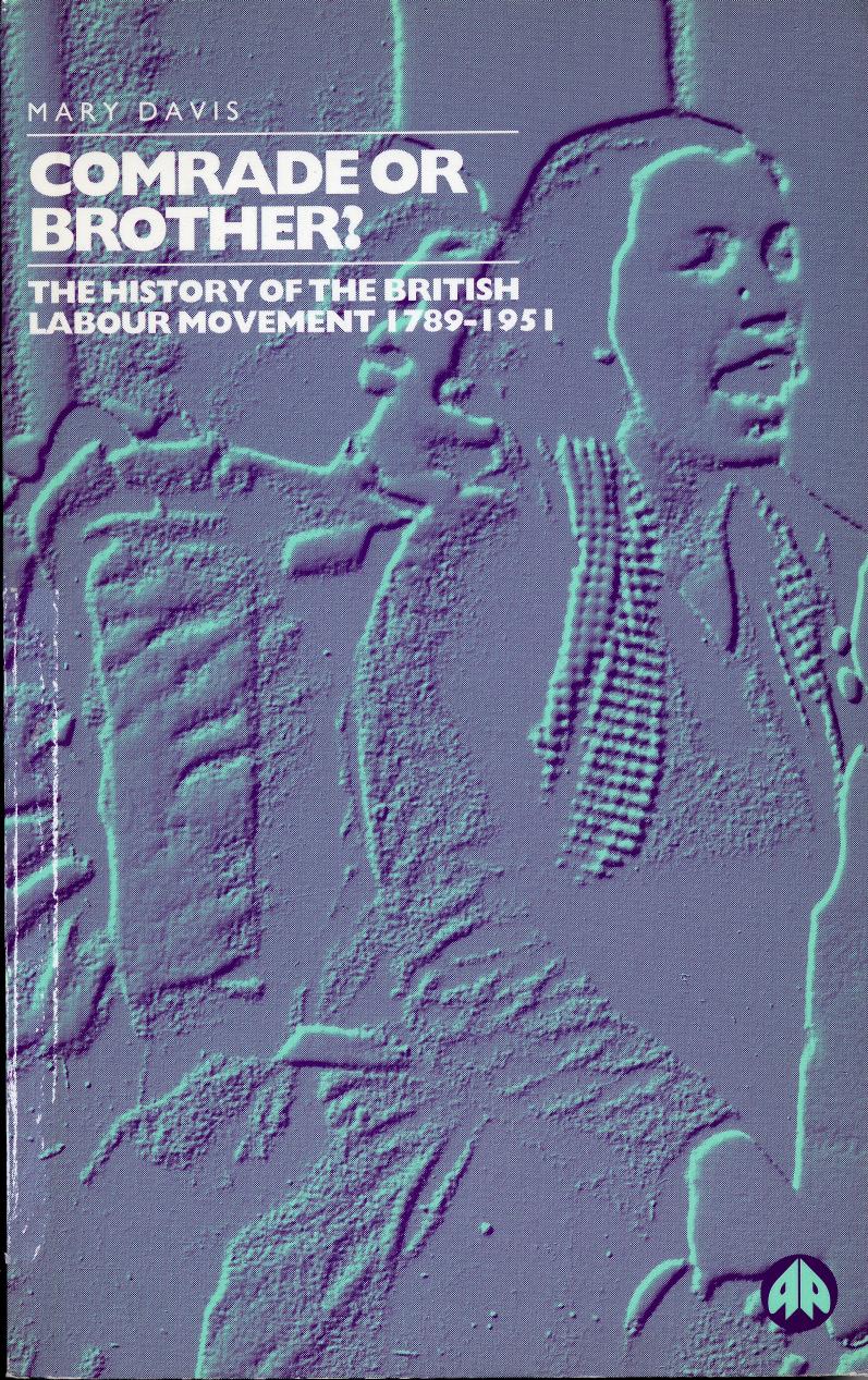 Comrade or Brother?: A History of the British Labour Movement by Mary Davis