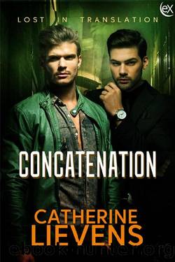 Concatenation by Catherine Lievens