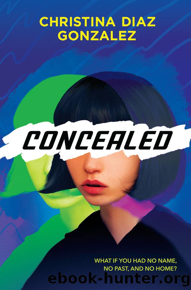 Concealed by Christina Diaz Gonzalez