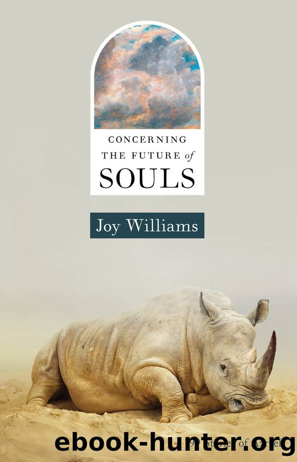 Concerning the Future of Souls by Joy Williams