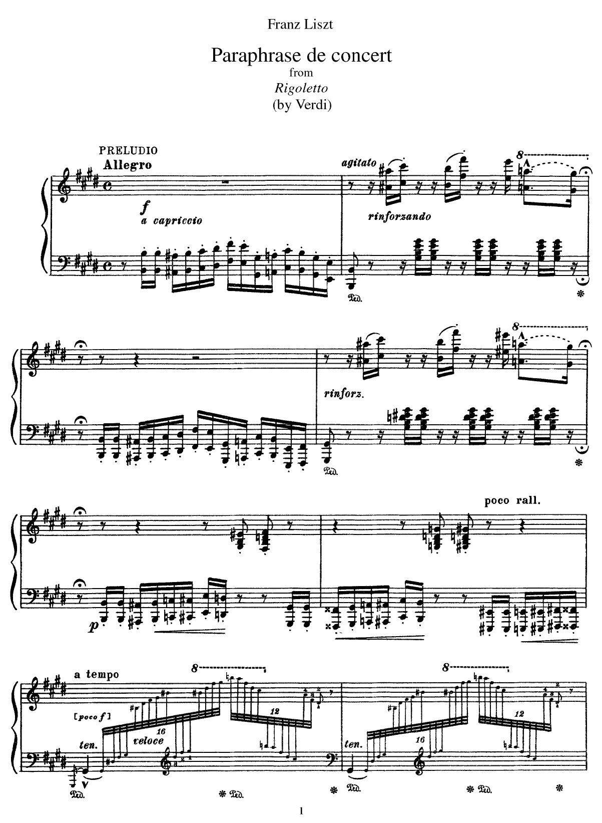Concert Paraphrase from Rigoletto (Verdi) by P D Verlag 2005