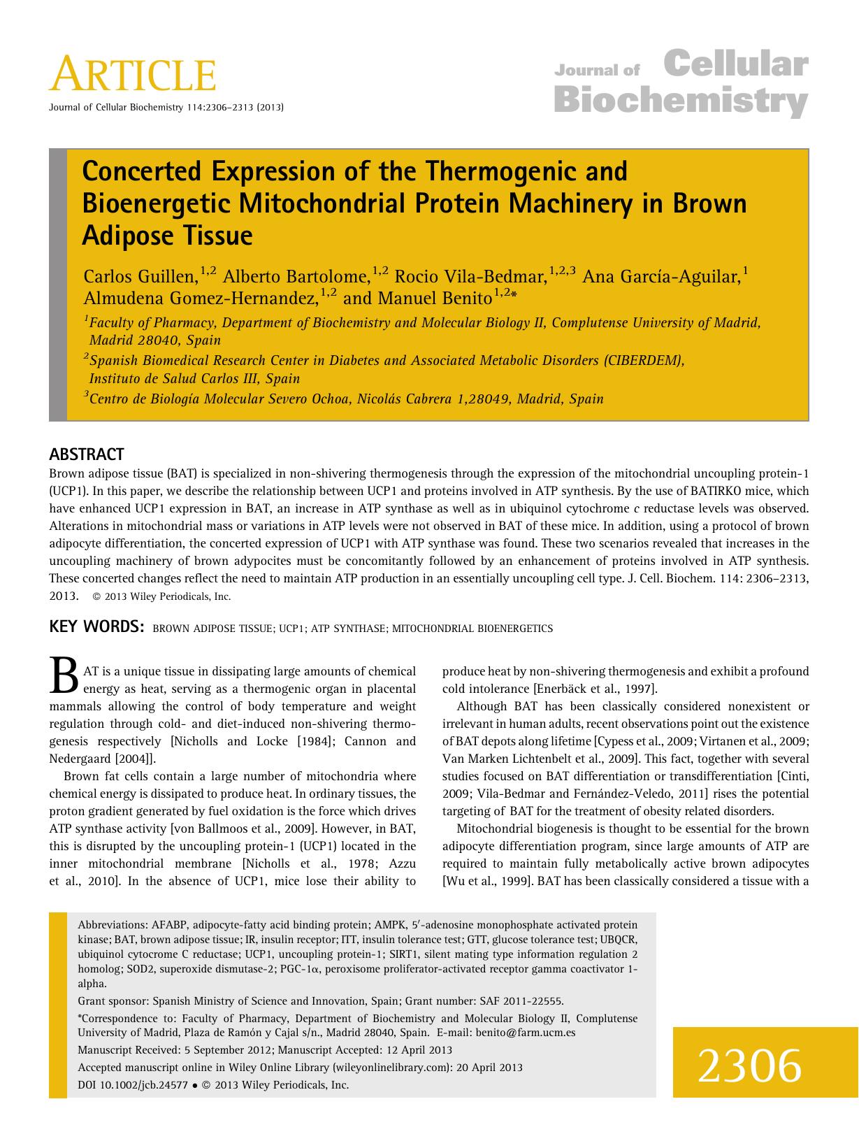 Concerted expression of the thermogenic and bioenergetic mitochondrial protein machinery in brown adipose tissue by Unknown