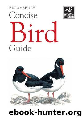 Concise Bird Guide by Bloomsbury;