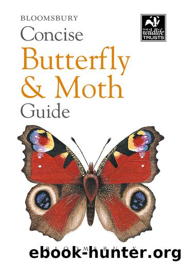 Concise Butterfly and Moth Guide by Bloomsbury Publishing