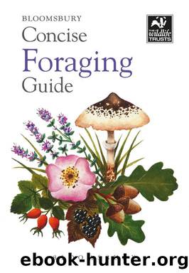 Concise Foraging Guide by Tiffany Francis-Baker