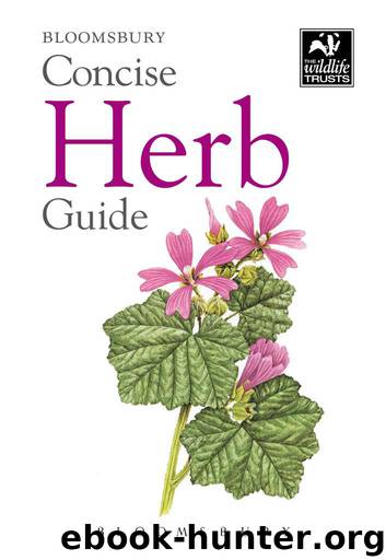 Concise Herb Guide (Concise Guide) by Bloomsbury