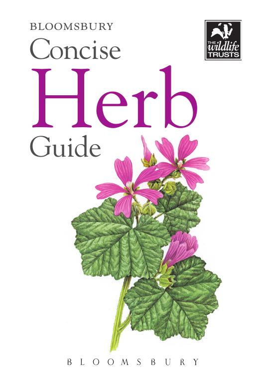 Concise Herb Guide by Bloomsbury Publishing
