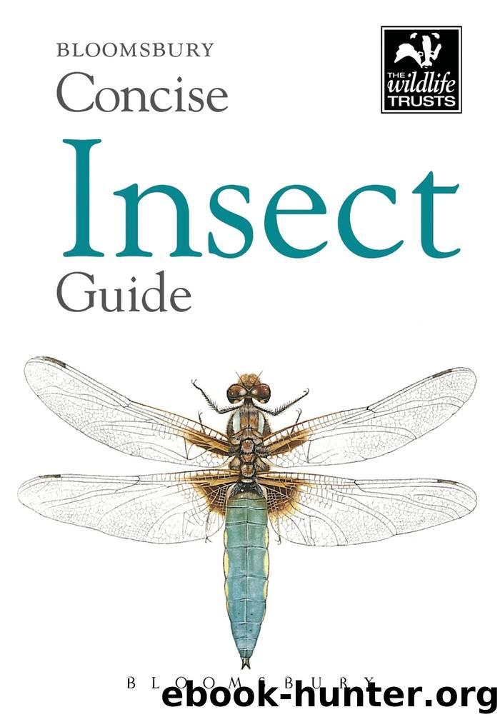 Concise Insect Guide by Bloomsbury & Sandra Doyle & Stuart Carter