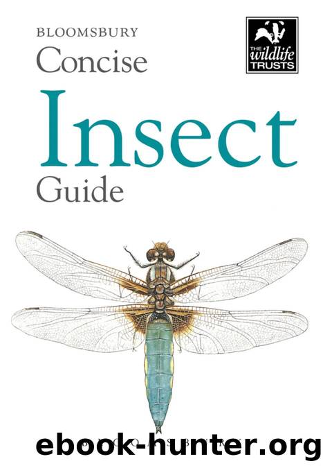 Concise Insect Guide by Bloomsbury;
