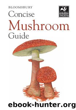 Concise Mushroom Guide by Bloomsbury Publishing