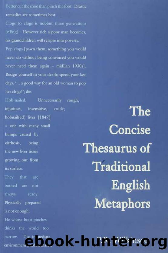 Concise Thesaurus of Traditional English Metaphors by Wilkinson P. R