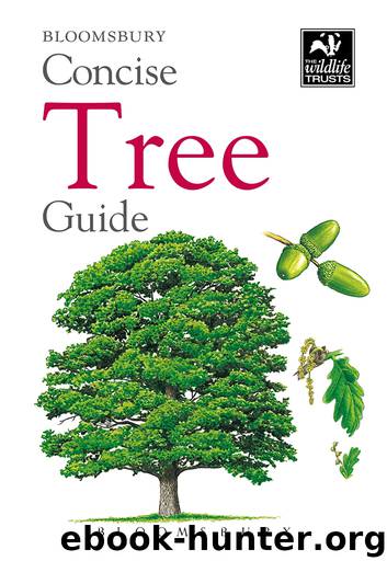 Concise Tree Guide by Bloomsbury Publishing