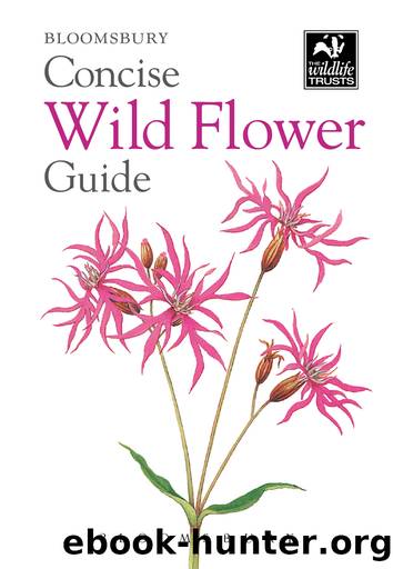 Concise Wild Flower Guide by Bloomsbury