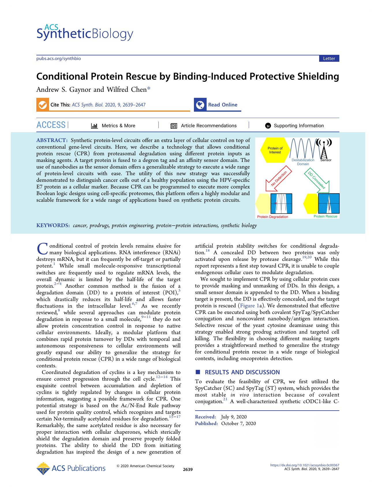 Conditional Protein Rescue by Binding-Induced Protective Shielding by Andrew S. Gaynor and Wilfred Chen