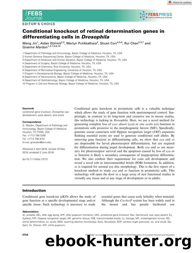 Conditional knockout of retinal determination genes in differentiating cells in Drosophila by Unknown