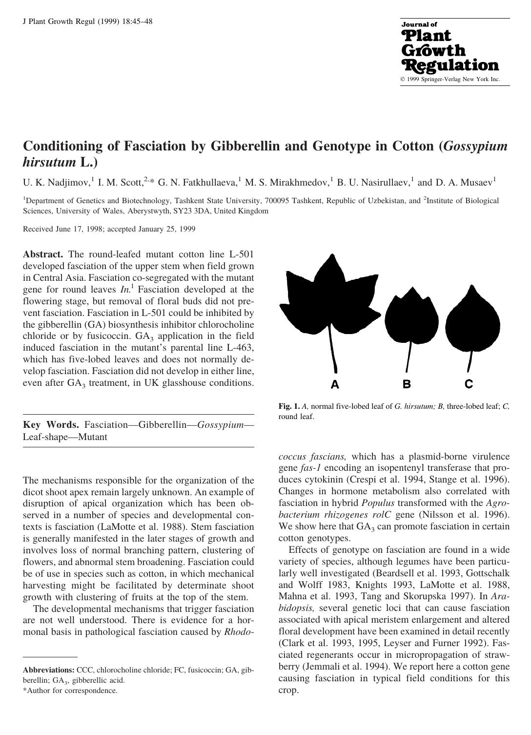 Conditioning of Fasciation by Gibberellin and Genotype in Cotton (Gossypium hirsutum L. ) by Nadjimov U. et al