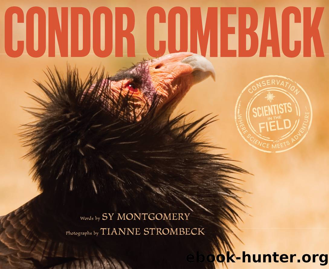 Condor Comeback by Sy Montgomery