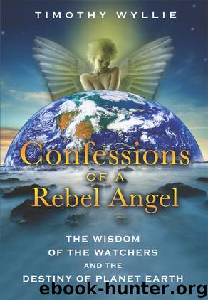 Confessions of a Rebel Angel by Timothy Wyllie