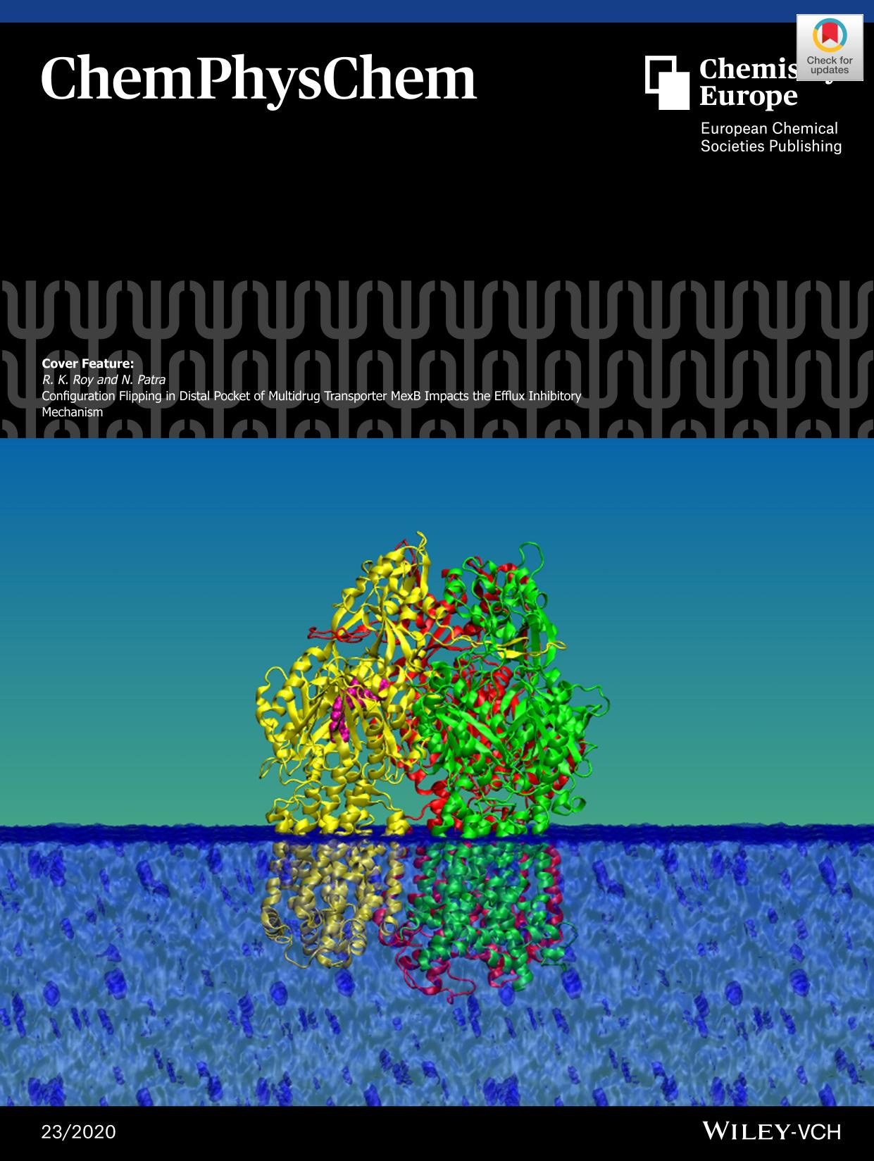 Configuration Flipping in Distal Pocket of Multidrug Transporter MexB Impacts the Efflux Inhibitory Mechanism by Unknown