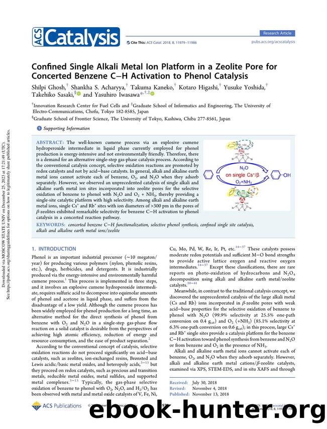 Confined Single Alkali Metal Ion Platform in a Zeolite Pore for Concerted Benzene CâH Activation to Phenol Catalysis by unknow