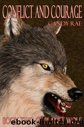 Conflict and Courage by Candy Rae