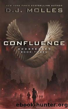 Confluence (Godbreaker Book 3) by DJ Molles