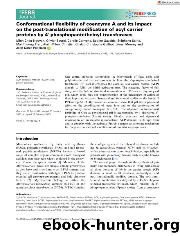 Conformational flexibility of coenzyme A and its impact on the postâtranslational modification of acyl carrier proteins by 4â²âphosphopantetheinyl transferases by Unknown