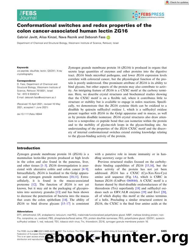 Conformational switches and redox properties of the colon cancerâassociated human lectin ZG16 by Unknown