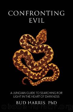 Confronting Evil: A Jungian Guide to Searching for Light In the Heart of Darkness by Bud Harris