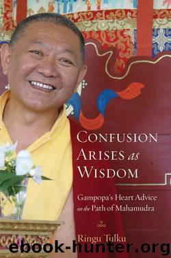 Confusion Arises as Wisdom: Gampopa's Heart Advice on the Path of Mahamudra by Tulku Ringu